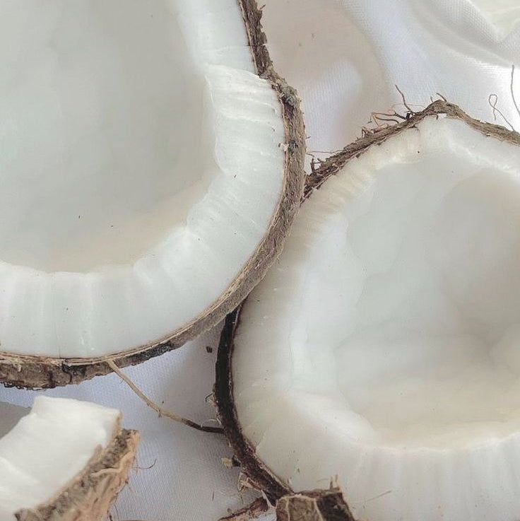 Cozy Coconut