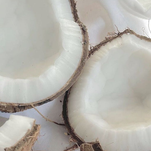 Cozy Coconut